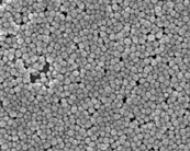 纳米银颗粒湿粉JCSNP-995-50